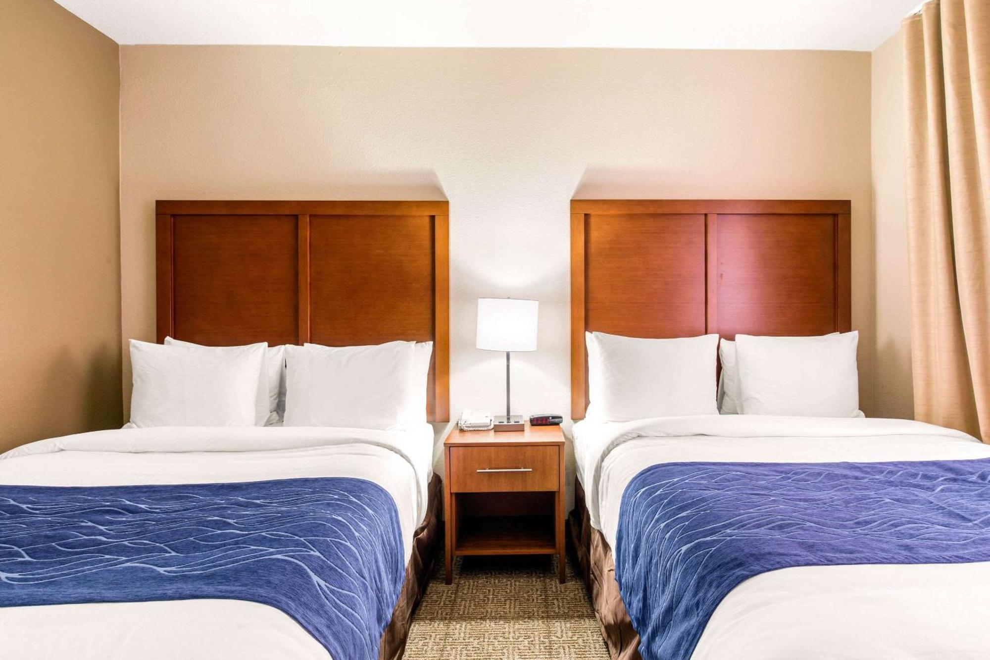 Comfort Inn & Suites Iah Bush Airport - East Humble Eksteriør bilde