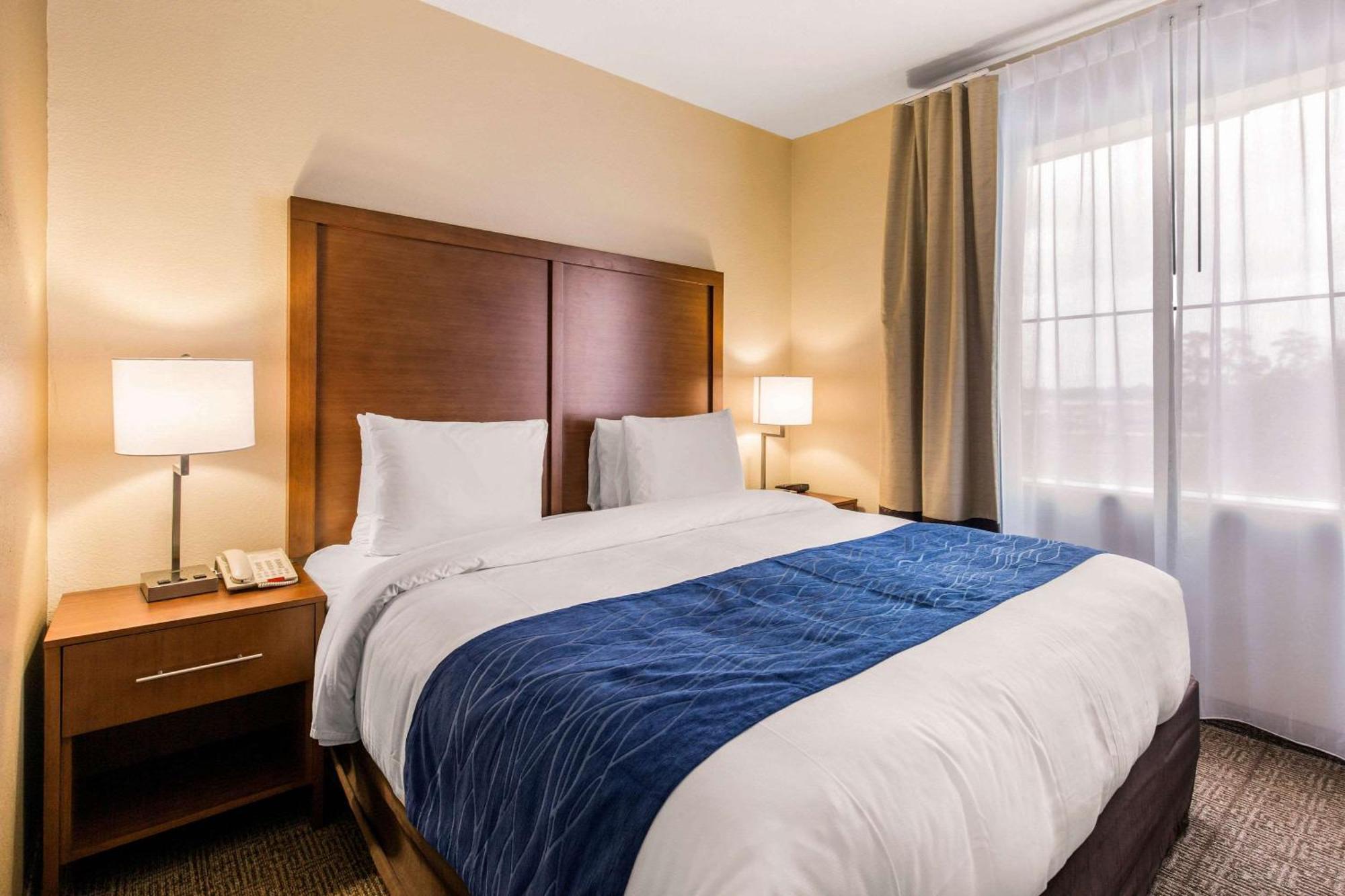 Comfort Inn & Suites Iah Bush Airport - East Humble Eksteriør bilde